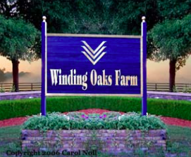 winding oaks